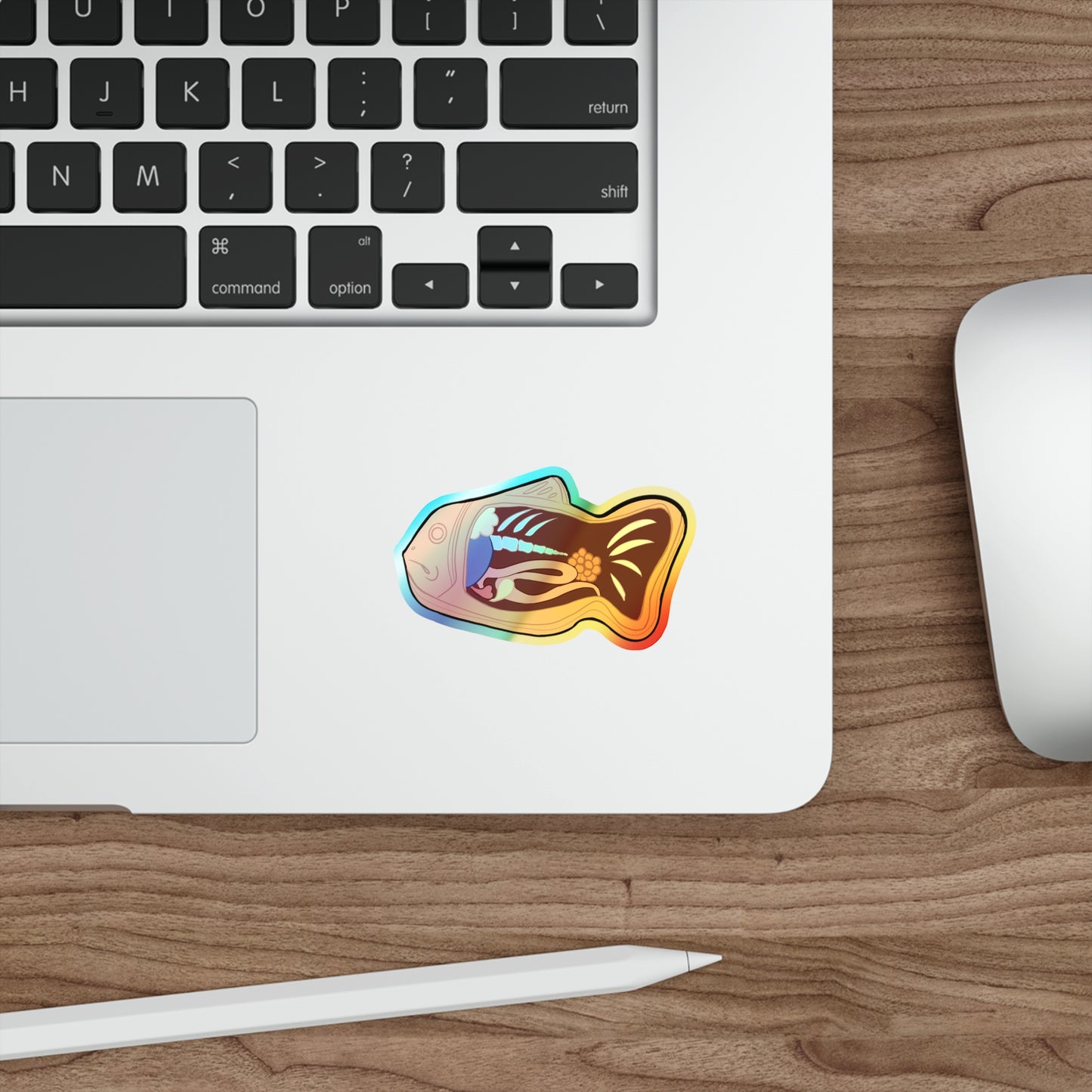 Anatomy of a Taiyaki Holographic Die-cut Stickers