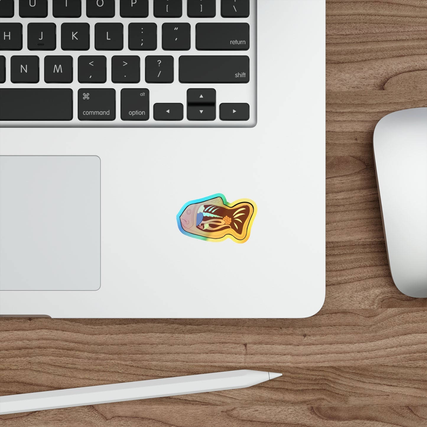 Anatomy of a Taiyaki Holographic Die-cut Stickers